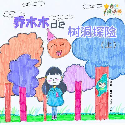 【亲亲自然】乔木木的树洞探险（上）
