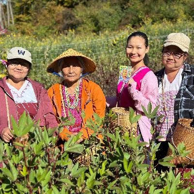 EP. 39: Mountain Farmers from Burma in Thailand and Philadelphia EP. 39: Mountain Farmers from Burma in Thailand and Philadelphia