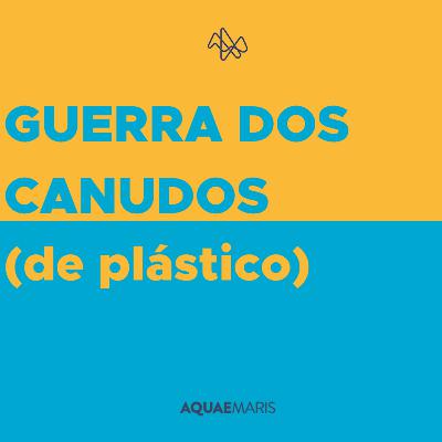 Guerra de Canudos (de plastico) Guerra de Canudos (de plastico)