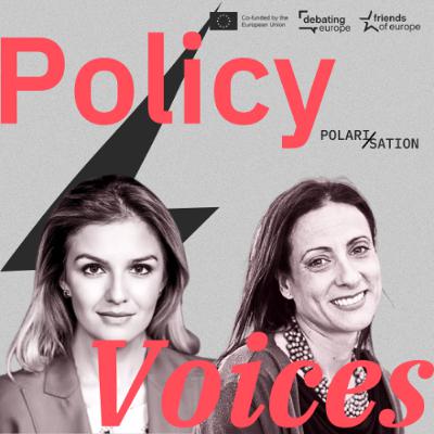 Policy Voices | Enlargement and the EU's defence Policy Voices | Enlargement and the EU's defence