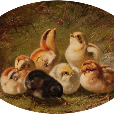 Chatting with Chicks Chatting with Chicks