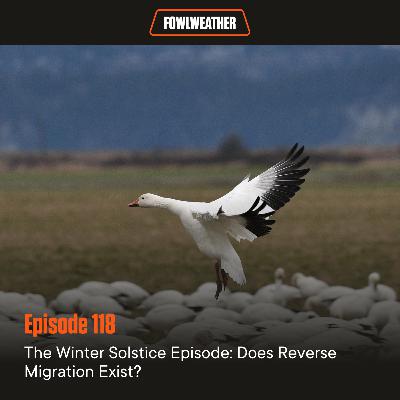 Ep. 118 – The Winter Solstice Episode: Does Reverse Migration Exist?