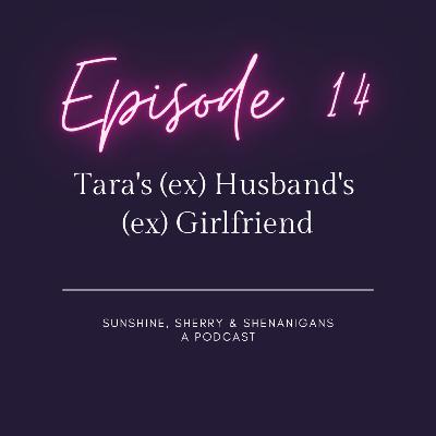 Episode 14 - Tara's (ex) Husband's (ex) Girlfriend