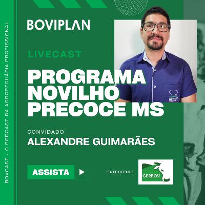 Bovcast #11 - Programa Novilho Precoce MS Bovcast #11 - Programa Novilho Precoce MS
