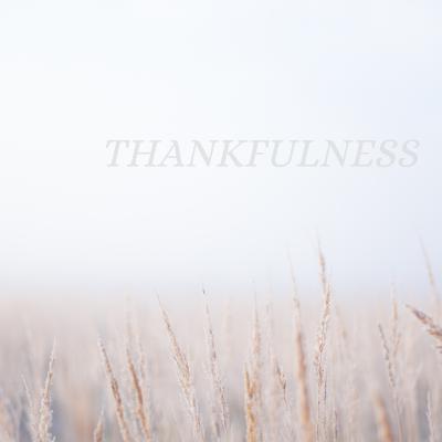 Thankfulness: Esther 2:17