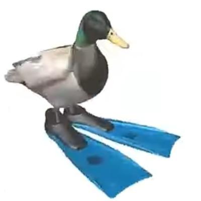 Fuck