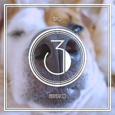 #27 - TOP 3 - Gerüche die man nie vergisst