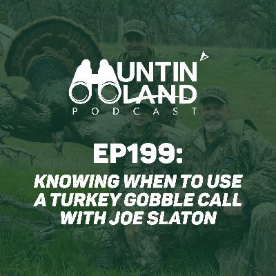 Knowing When to Use a Turkey Gobble Call Knowing When to Use a Turkey Gobble Call