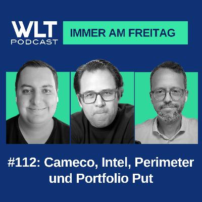 WLT #112 Cameco, Intel, Perimeter und Portfolio Put