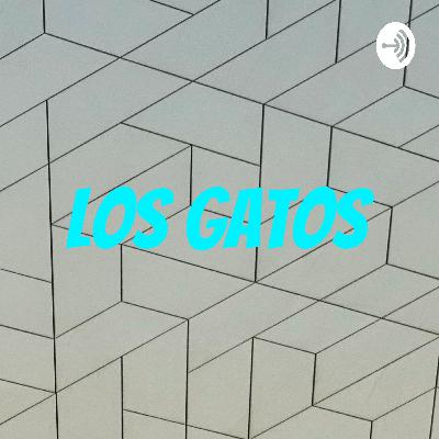 Los gatos de la cochera