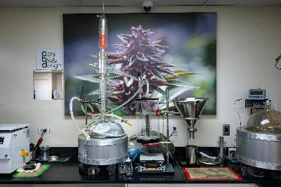 Newsom Signs Bill Decreasing Cannabis Tax, Which Could Boost Struggling Industry