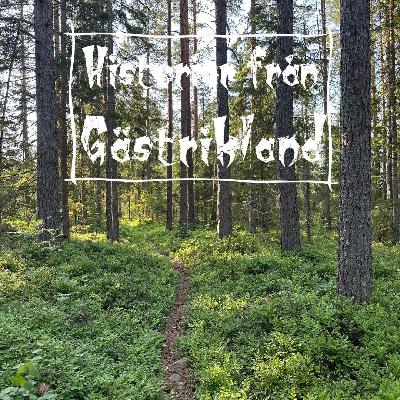 Giftmördarna i Hedesunda
