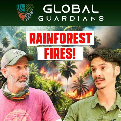 Fire Nearly Wiped Out His Life’s Work - Entomologist Jim Cordoba - Ep. 2
