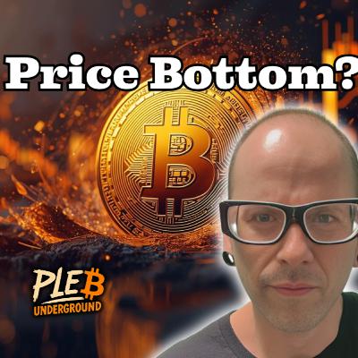 Is The Bitcoin Bottom In? Is The Bitcoin Bottom In?