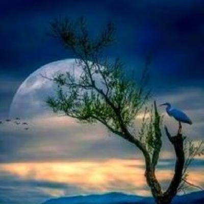 Actitud, mente y corazón positivos