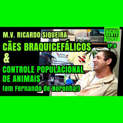 CONTROLE BIOLÓGICO e CÃES BRAQUICEFÁLICOS com M. V. Ricardo Siqueira | BICHO GENTE Podcast ep.6