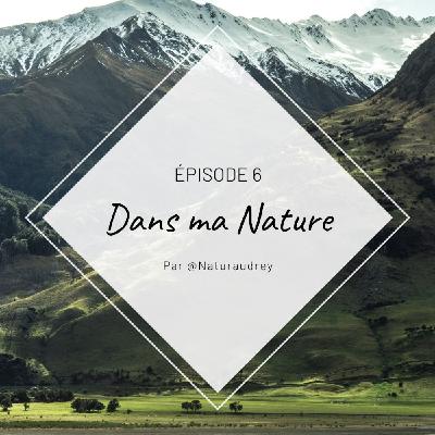 Episode 6 - Débuter la méditation