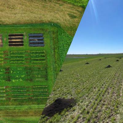 Rodale Institute and ARTi: A Look at Biochar’s Influence on Crop Yield, Nutrient Leaching, and Soil Health