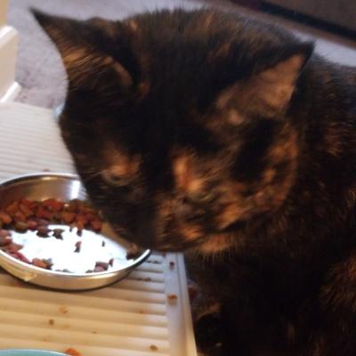 Are Mothers underpaid?