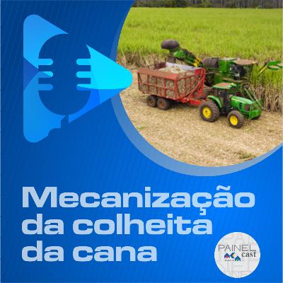 06 - Mecanização do corte da cana-de-açúcar 06 - Mecanização do corte da cana-de-açúcar