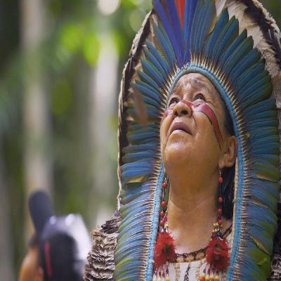 Ayahuasca Heilung aus dem Regenwald - Notizen aus Brasilien