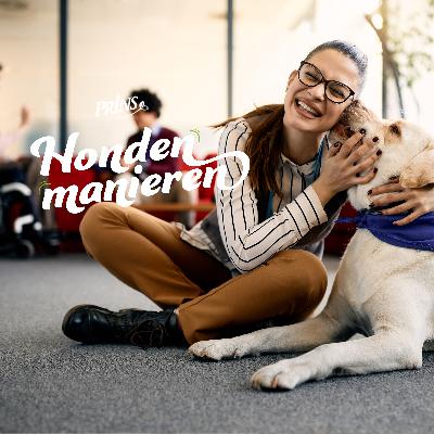 Afl. 28 Wat doet een therapiehond precies?