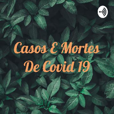 Casos e morte no Brasil