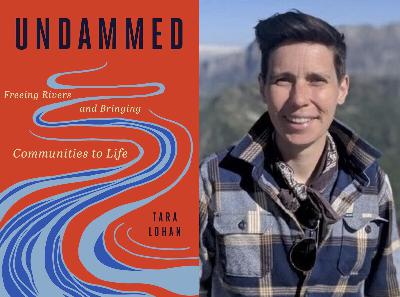 The affect dams have on the environment, and what would happen if they were removed