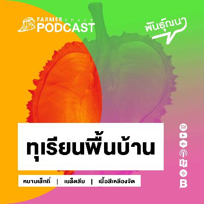 ทุเรียนพื้นบ้าน 【พันธุ์ณนา】 ทุเรียนพื้นบ้าน 【พันธุ์ณนา】