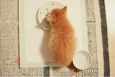 #1404本の話③ from Radiotalk