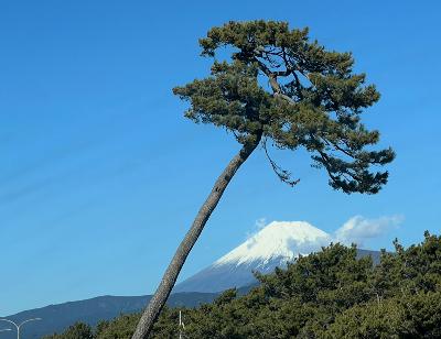 #1422静岡旅行④千本浜公園・リバーブックス・静岡おでん from Radiotalk #1422静岡旅行④千本浜公園・リバーブックス・静岡おでん from Radiotalk