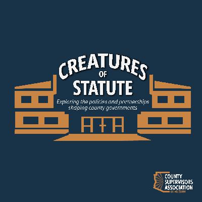 County Basics: From Statute to Service