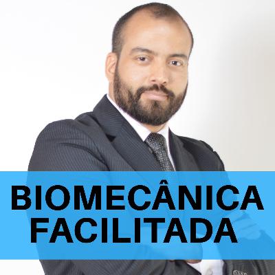 #3 - Organização da Mecânica