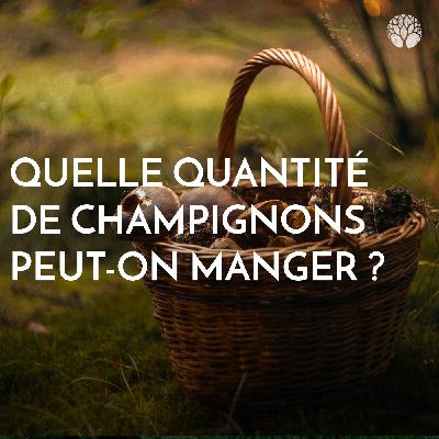 Quelle quantité de champignons peut-on manger ?