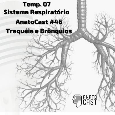 AnatoCast #46 - Traquéia e Brônquios - Temp. 07 - Sist. Respiratório AnatoCast #46 - Traquéia e Brônquios - Temp. 07 - Sist. Respiratório
