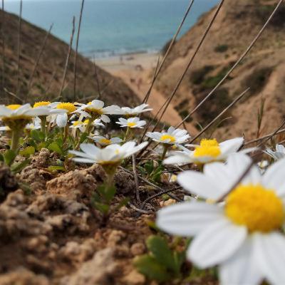 מדיטציה להשקטת התודעה בעזרת מודעות לנשימה מדיטציה להשקטת התודעה בעזרת מודעות לנשימה