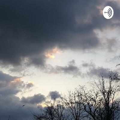 Update for the podcast Update for the podcast