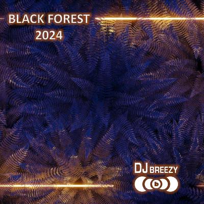 Episode 3: Black Forest TRC 2024: Live Set