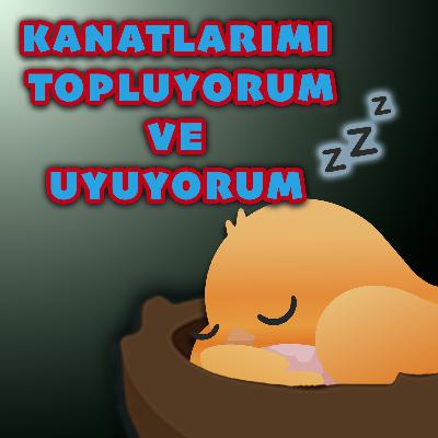 MİNİK KUŞ'UN GÜNLÜĞÜ: KANATLARIMI TOPLUYORUM VE UYUYORUM - UYKU ÖNCESİ MASAL VE NİNNİ