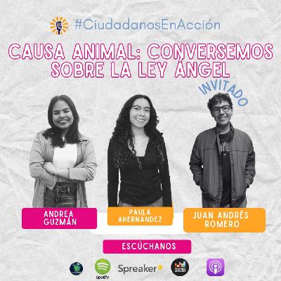 Causa Animal: conversemos sobre la Ley Ángel