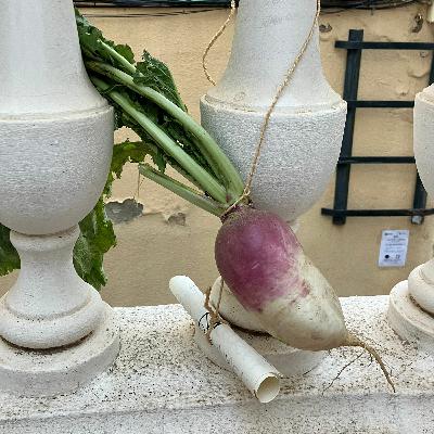 Caravana A Les Rondes Mentre Plou