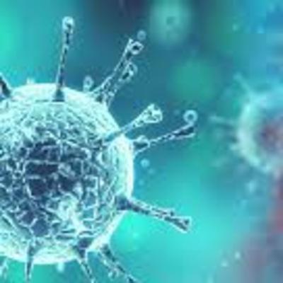 The Follow Up | COVID-19 OutBreak and How To Keep Safe What's Closed And Where to Get Tested