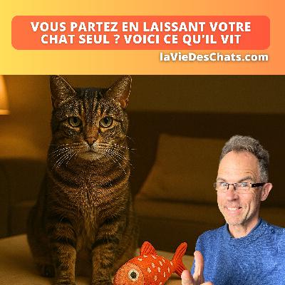 VOUS LAISSEZ VOTRE CHAT SEUL ? VOICI CE QU'IL VIT
