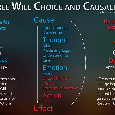 Free Will Choice and Causal Determinism