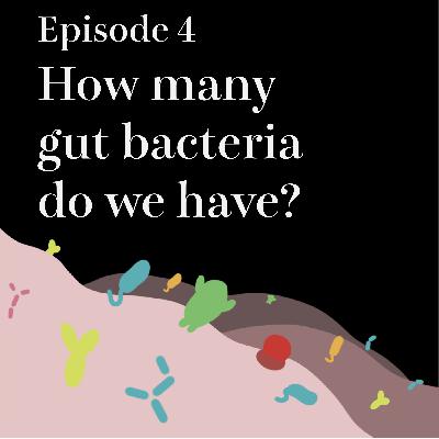 #4 How many gut bacteria do we have?