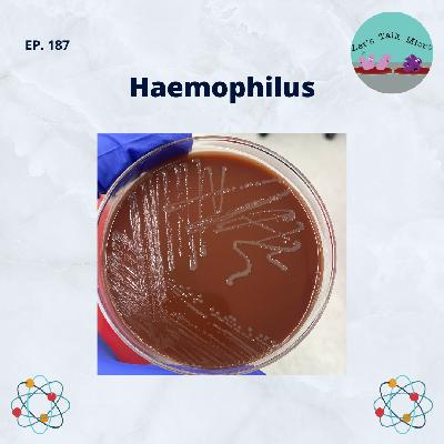 187: Haemophilus