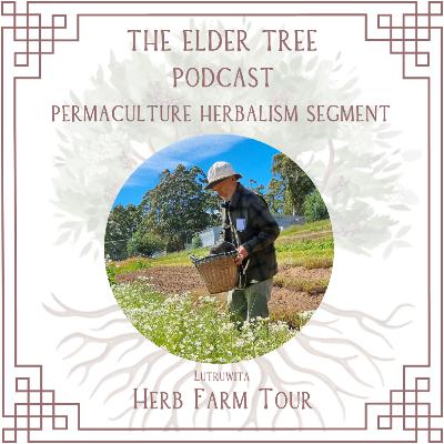 169. Lutruwita Herb Farm Tour: Taj Scicluna on Herb Farming