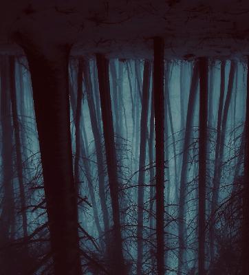 My sad new year (Fan-j)