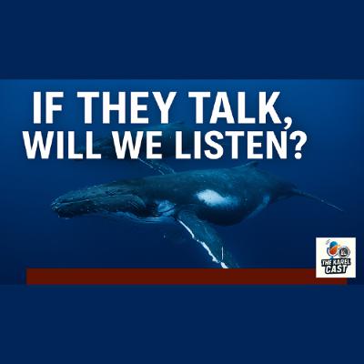 🐋 AI Will Let Animals Talk — But Will Humanity Listen? | The Karel Cast 🐋 AI Will Let Animals Talk — But Will Humanity Listen? | The Karel Cast