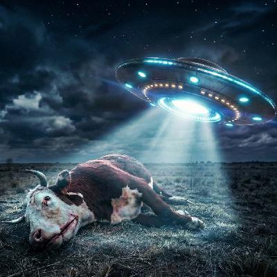 Las mutilaciones de ganado Las mutilaciones de ganado